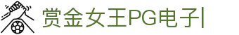 PG电子游戏-赏金女王模拟器在线试玩APP下载